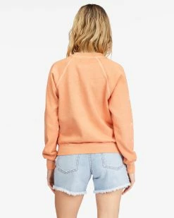 Billabong Shrunken Crew Pullover Sweatshirt GINGER (gin) -billabong shop abjft00324 billabongw gin bck1