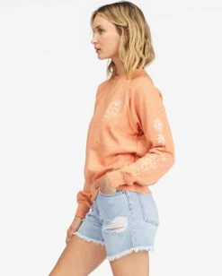 Billabong Shrunken Crew Pullover Sweatshirt GINGER (gin) -billabong shop abjft00324 billabongw gin sd1 1