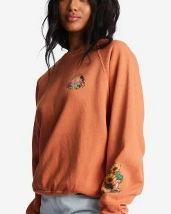 Billabong Here We Go Graphic Crewneck Sweatshirt BRICK (brk) -billabong shop abjft00344 billabongw brk dtl1