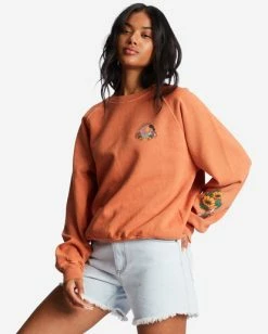 Billabong Here We Go Graphic Crewneck Sweatshirt BRICK (brk) -billabong shop abjft00344 billabongw brk sd1 1
