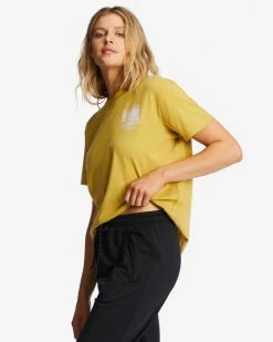 Billabong A/Div Tee Short Sleeve UPF 50 T-Shirt DESERT SAGE (ykl0) -billabong shop abjzt00620 billabongw ykl0 sd1